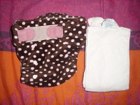 couche blueberry et son insert original